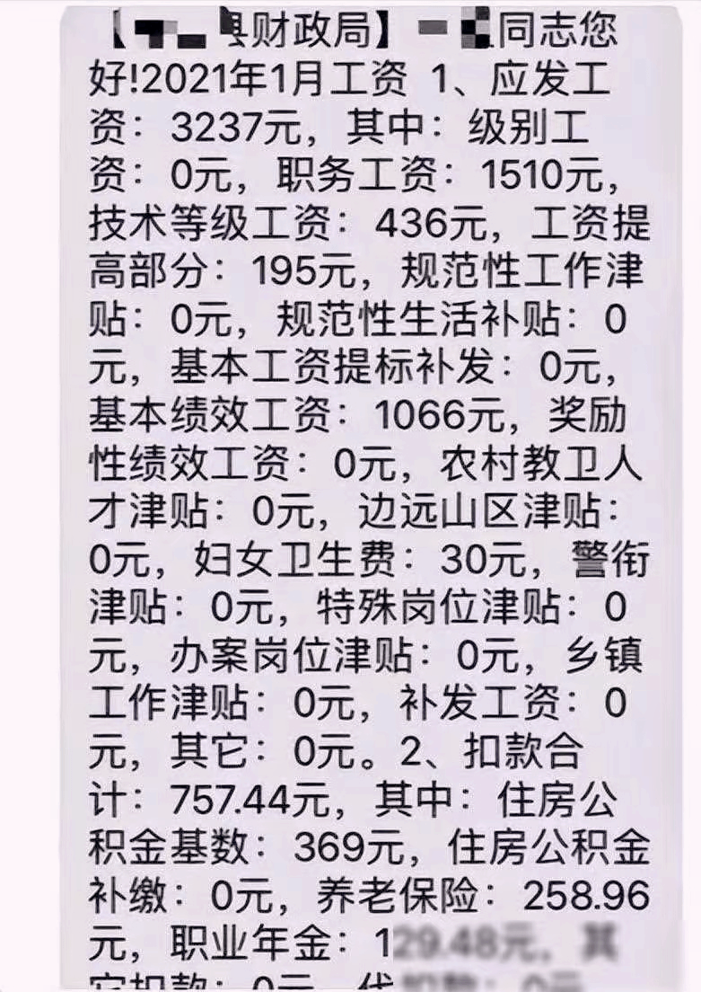 和平鸽也有工资和平鸽的工资，自媒体时代的观察与思考